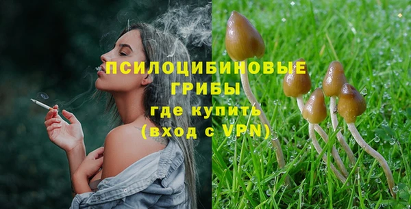 прущий лед Аркадак