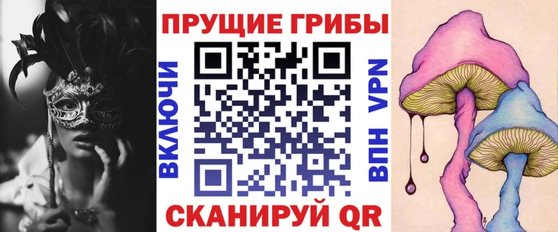 наркошоп  darknet Telegram  Галлюциногенные грибы Psilocybe  Сельцо 